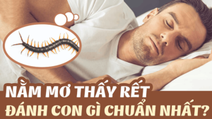 Mơ thấy rết